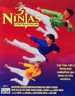 3 Ninjas al rescate